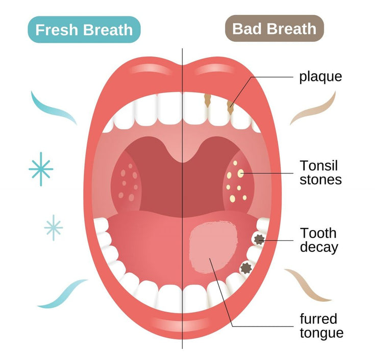 Niacinamide | Crema Dental Blanqueadora