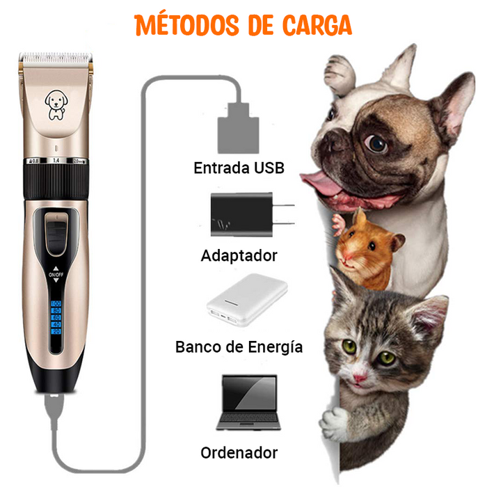 Peluquería PetPro Estilista